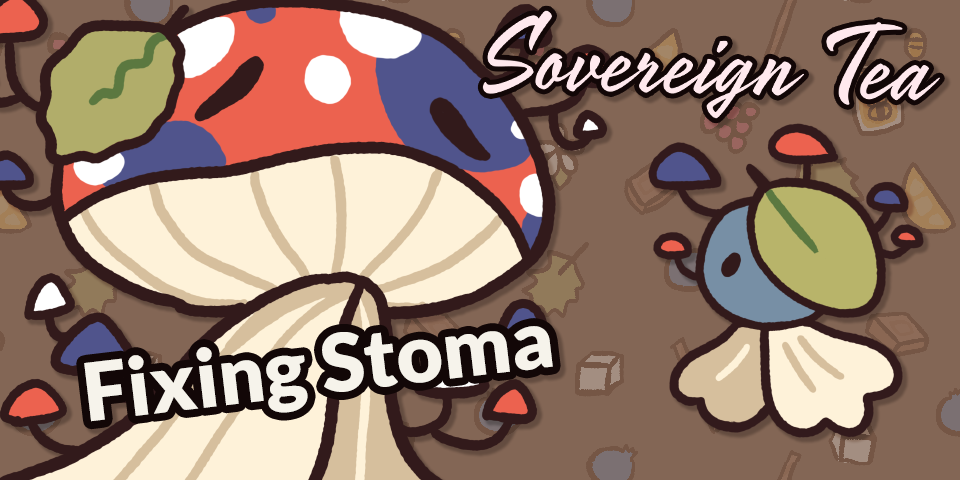 Fixing Stoma