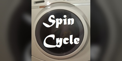 Cover image for Spin Cycle