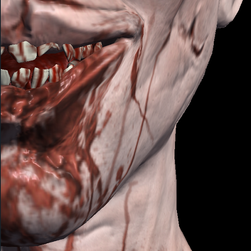 Bloody Maze cover
