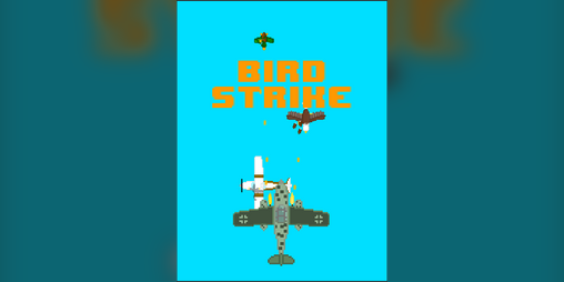 Cover image for Bird Strike