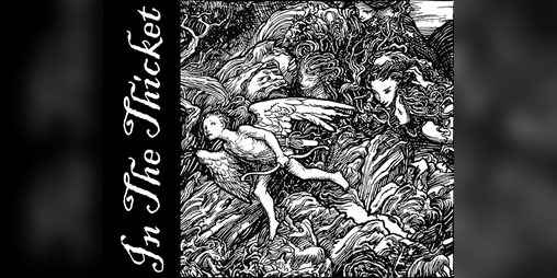 Cover image for In The Thicket