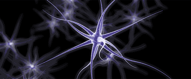 TrainYourMemory