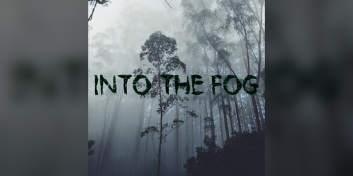 Cover image for Into the Fog