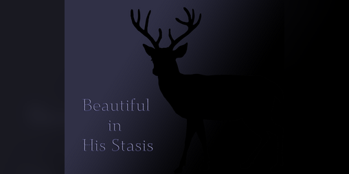 Cover image for Beautiful in His Stasis