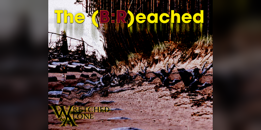 Cover image for The (B:R)eached
