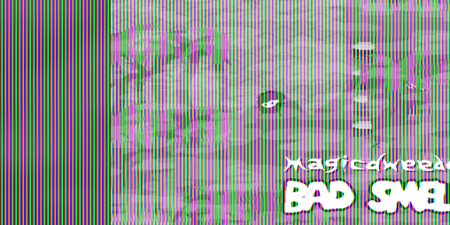 Cover image for Bad Smell