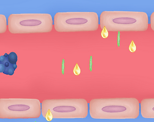 Cancer Cell
