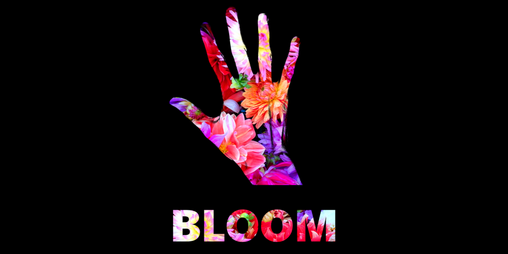 Cover image for BLOOM