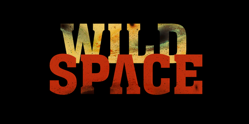 Cover image for Wildspace, PbtA