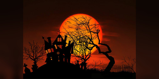 Cover image for Zota the Ghost