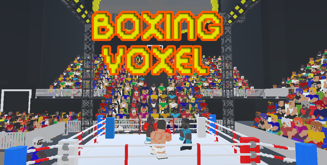 BOXING VOXEL