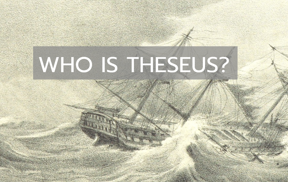 Cover image for WHO IS THESEUS?