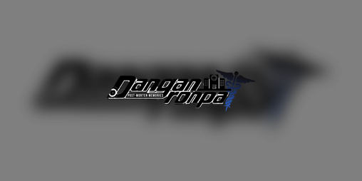 Cover image for Danganronpa: Post-Mortem Memories