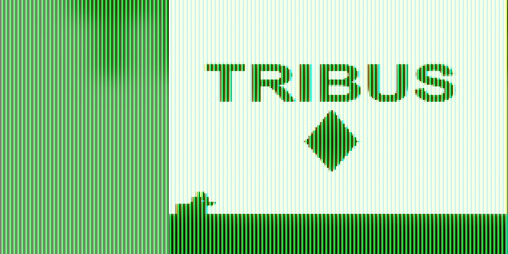Cover image for TRIBUS DEMO