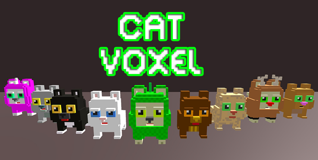 CATS VOXEL