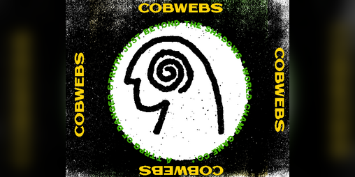 Cover image for Cobwebs