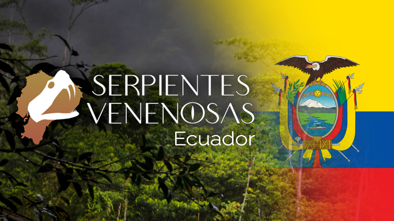 Serpientes Venenosas Ecuador - Venomous Snakes Ecuador