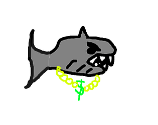 Shark Life