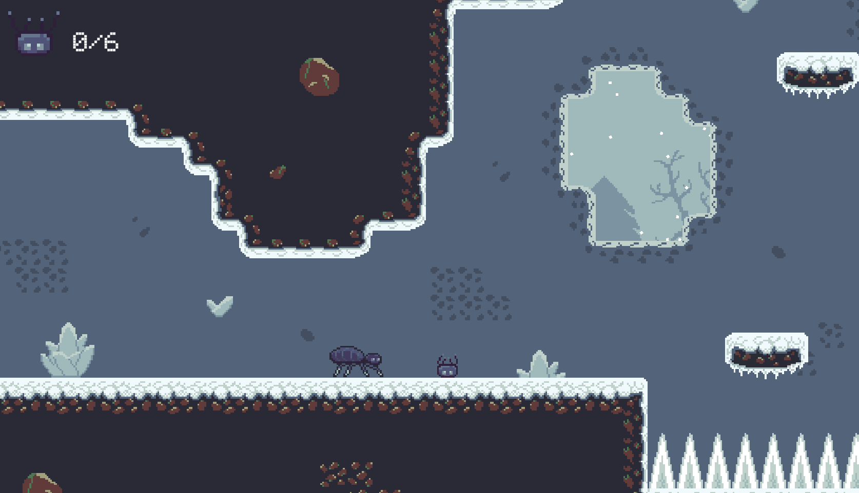 Cover image for Spider Quest