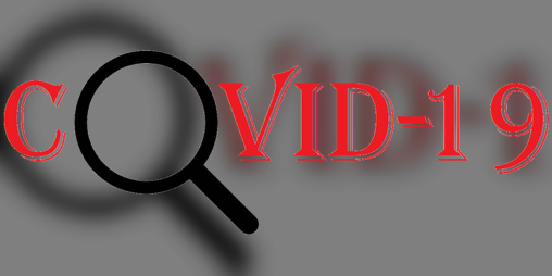 Cover image for Protocol Covid - 19