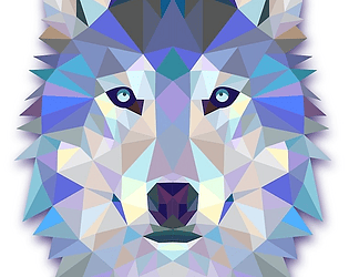 crystal collector