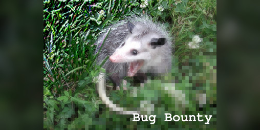 Cover image for Bug Bounty
