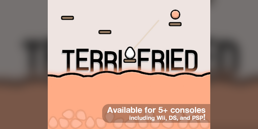 Cover image for Terri-Fried