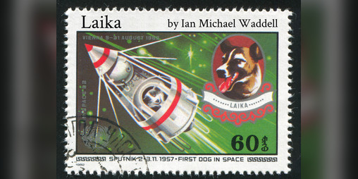 Cover image for Laika