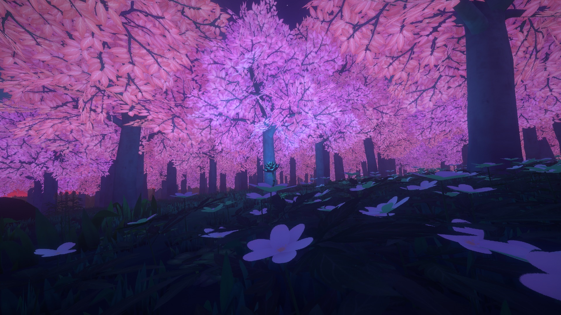 Cover image for NINVAE