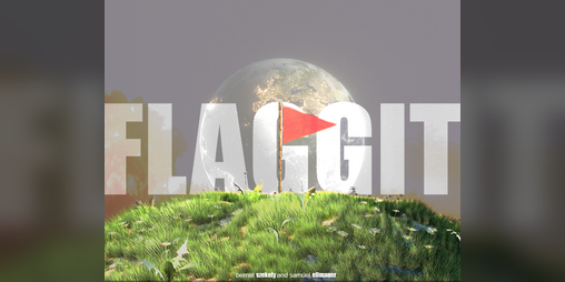 Cover image for Flaggit