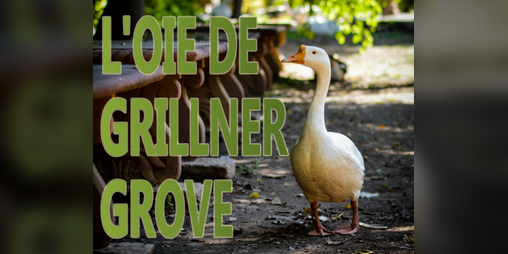 Cover image for L'oie de Grillner Grove