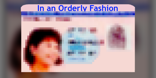 Cover image for In an Orderly Fashion