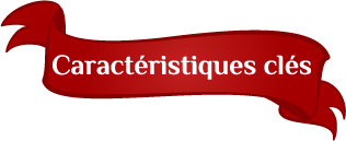 Caractéristiques clés Caractéristiques clés
