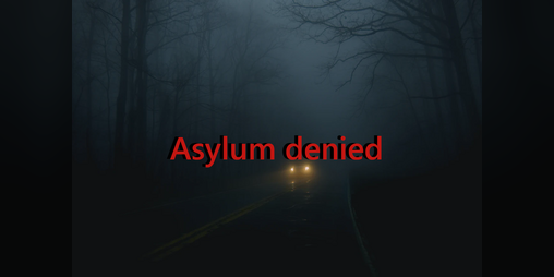 Cover image for Asylum Denied