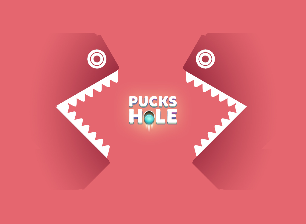 Cover image for Pucks Hole