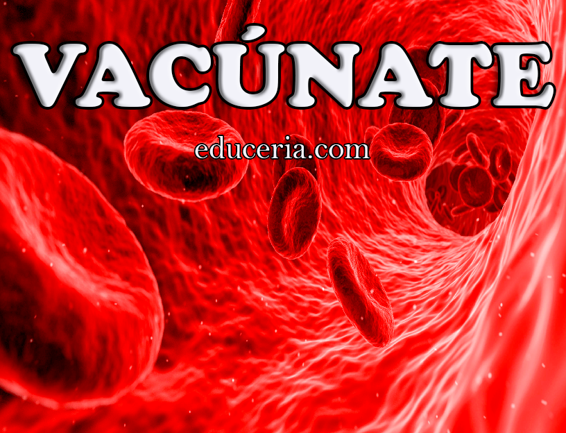 Cover image for Cómo funcionan las vacunas