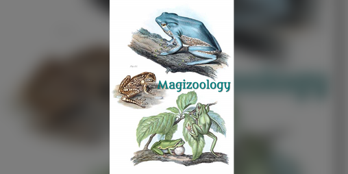 Cover image for Magizoology