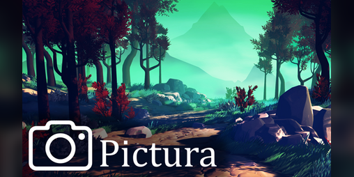 Cover image for Pictura