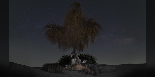 Cover image for Forêt de nuages