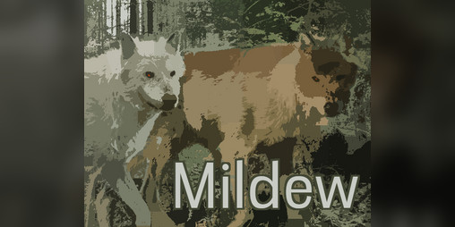Cover image for Mildew