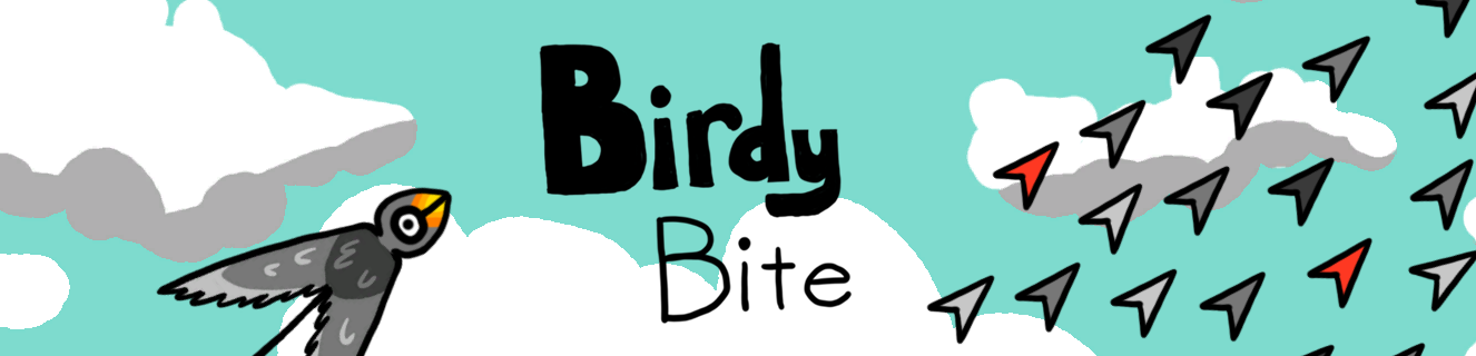Birdy Bite