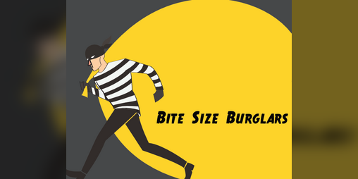 Cover image for Bite Size Burglars