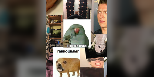 Cover image for отдавай трусы гавкошмыг