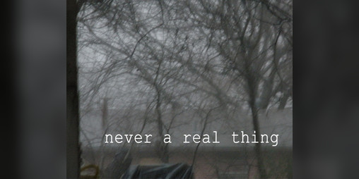 Cover image for never a real thing