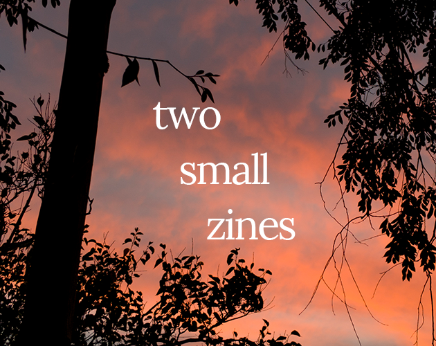 Cover image for two small zines