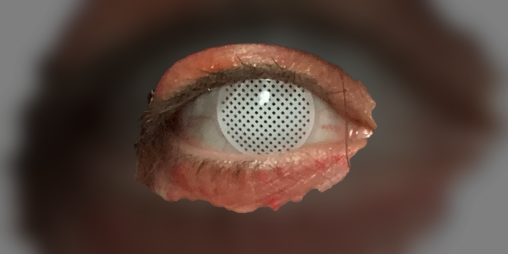 Cover image for Multiple Capaciousness