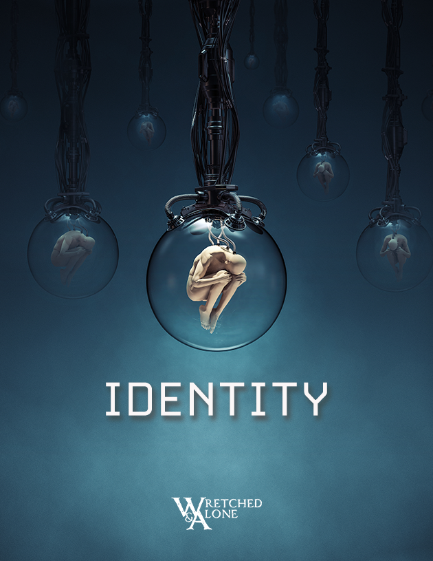 Cover image for Identity