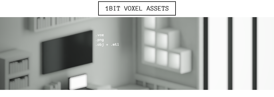 1BIT VOXEL ASSET