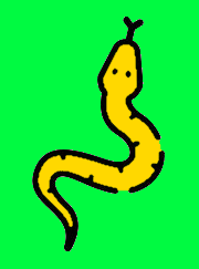 Snake battle