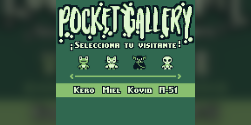 Cover image for Pocket Gallery